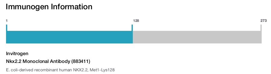 Nkx2.2 Monoclonal Antibody (883411)