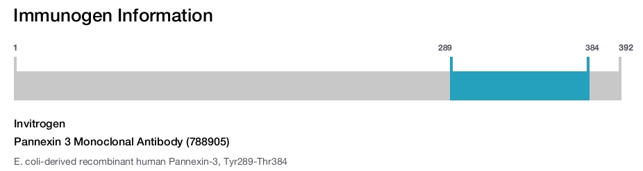 Pannexin 3 Monoclonal Antibody (788905)
