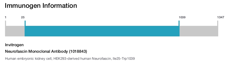 Neurofascin Monoclonal Antibody (1018843)