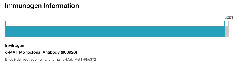 c-MAF Monoclonal Antibody (883926)