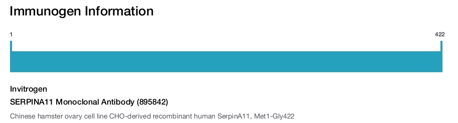 SERPINA11 Monoclonal Antibody (895842)