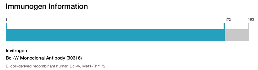 Bcl-W Monoclonal Antibody (90316)