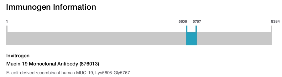 Mucin 19 Monoclonal Antibody (876013)