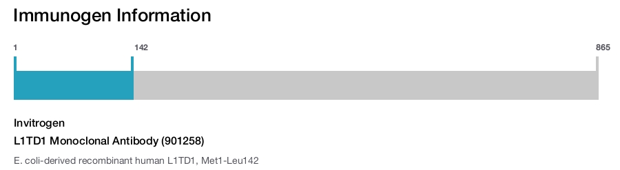 L1TD1 Monoclonal Antibody (901258)