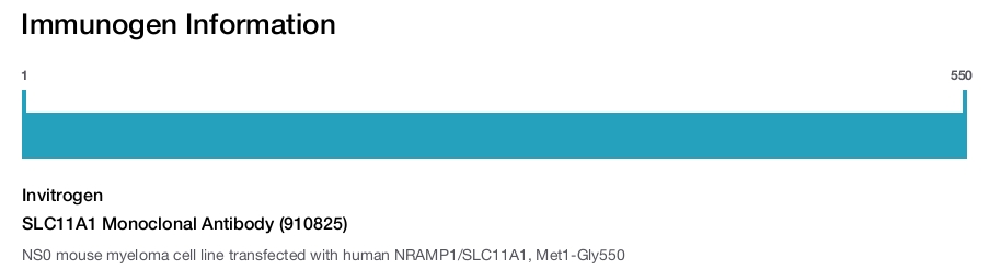 SLC11A1 Monoclonal Antibody (910825)