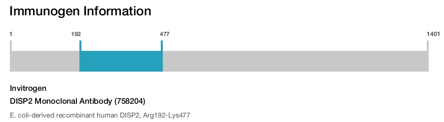 DISP2 Monoclonal Antibody (758204)