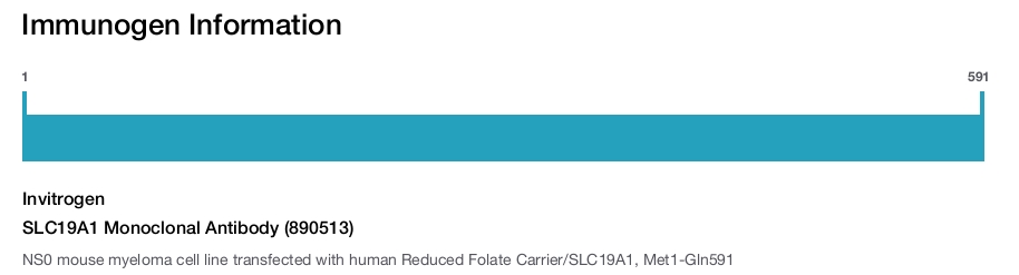 SLC19A1 Monoclonal Antibody (890513)
