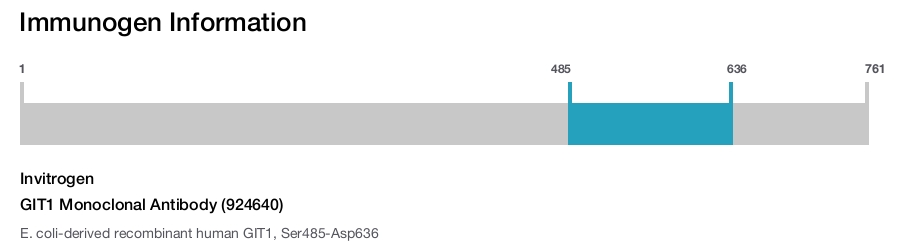 GIT1 Monoclonal Antibody (924640)