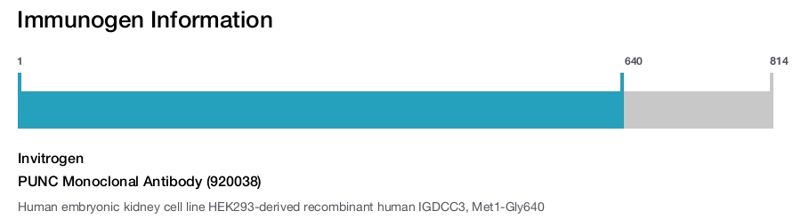 PUNC Monoclonal Antibody (920038)