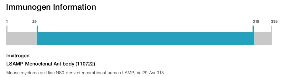 LSAMP Monoclonal Antibody (110722)