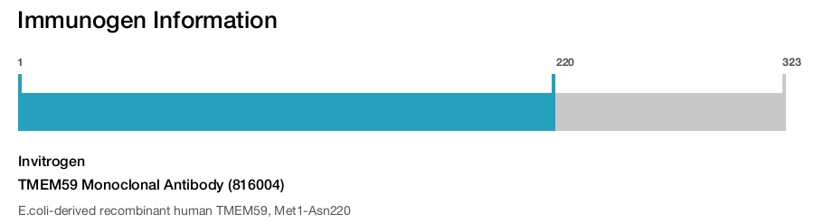 TMEM59 Monoclonal Antibody (816004)