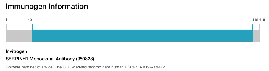 SERPINH1 Monoclonal Antibody (950828)