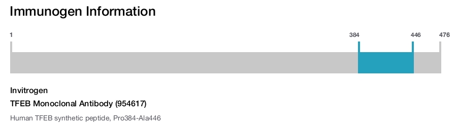 TFEB Monoclonal Antibody (954617)