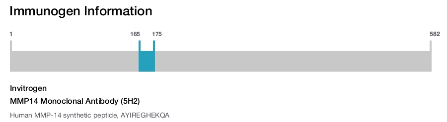 MMP14 Monoclonal Antibody (5H2)