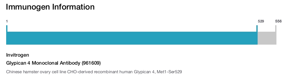 Glypican 4 Monoclonal Antibody (961609)