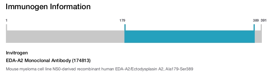 EDA-A2 Monoclonal Antibody (174813)