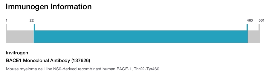 BACE1 Monoclonal Antibody (137626)
