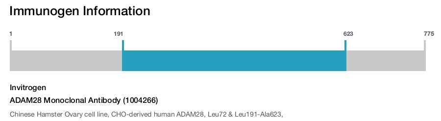 ADAM28 Monoclonal Antibody (1004266)
