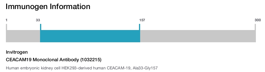 CEACAM19 Monoclonal Antibody (1032215)