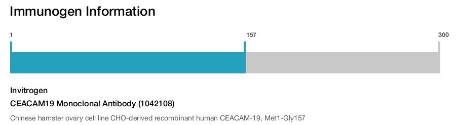 CEACAM19 Monoclonal Antibody (1042108)
