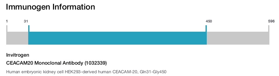 CEACAM20 Monoclonal Antibody (1032339)