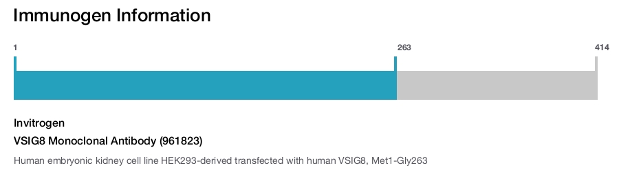 VSIG8 Monoclonal Antibody (961823)