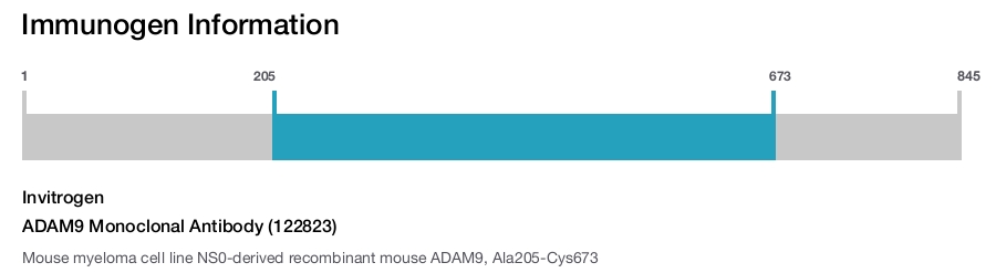 ADAM9 Monoclonal Antibody (122823)