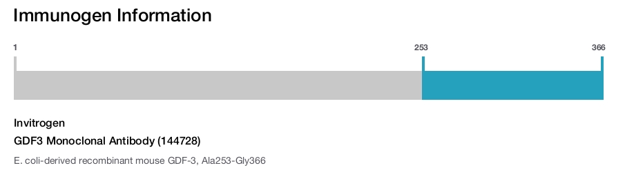 GDF3 Monoclonal Antibody (144728)