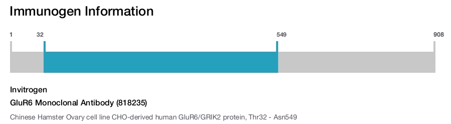 GluR6 Monoclonal Antibody (818235)