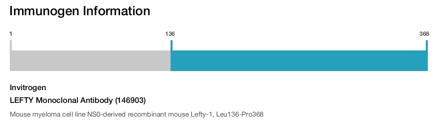 LEFTY Monoclonal Antibody (146903)