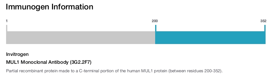 MUL1 Monoclonal Antibody (3G2.2F7)