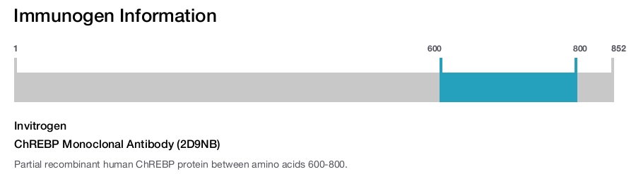 ChREBP Monoclonal Antibody (2D9NB)