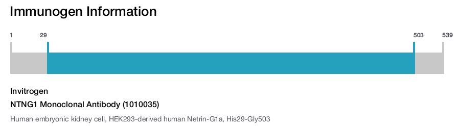 NTNG1 Monoclonal Antibody (1010035)