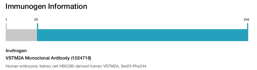 VSTM2A Monoclonal Antibody (1024718)