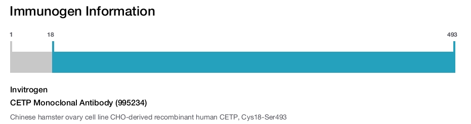 CETP Monoclonal Antibody (995234)