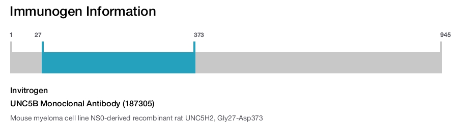 UNC5B Monoclonal Antibody (187305)