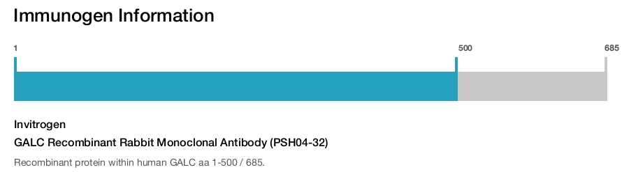 GALC Recombinant Rabbit Monoclonal Antibody (PSH04-32)
