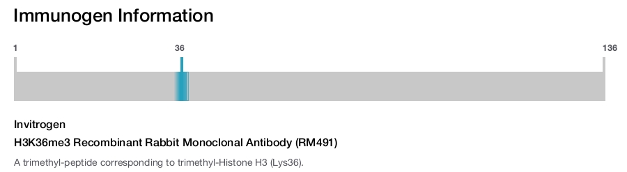 H3K36me3 Recombinant Rabbit Monoclonal Antibody (RM491)