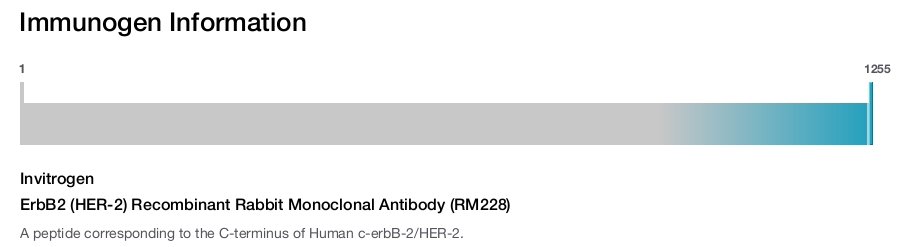 ErbB2 (HER-2) Recombinant Rabbit Monoclonal Antibody (RM228)