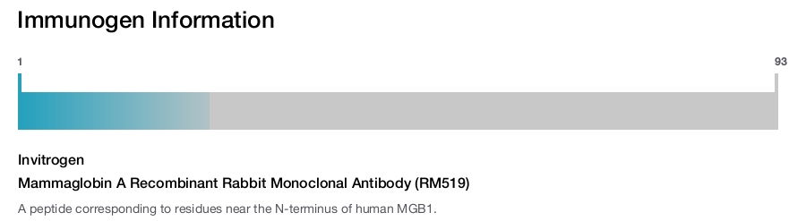 Mammaglobin A Recombinant Rabbit Monoclonal Antibody (RM519)