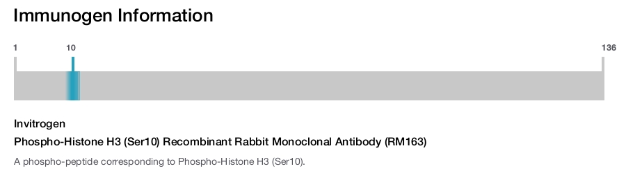 Phospho-Histone H3 (Ser10) Recombinant Rabbit Monoclonal Antibody (RM163)