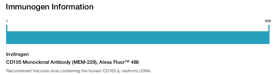 CD105 Monoclonal Antibody (MEM-229), Alexa Fluor™ 488