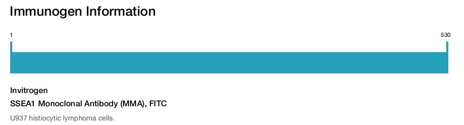 SSEA1 Monoclonal Antibody (MMA), FITC