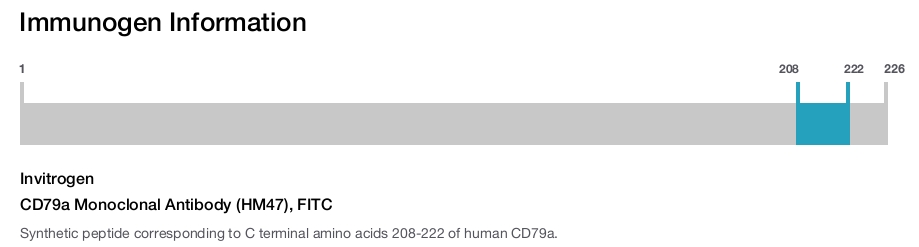CD79a Monoclonal Antibody (HM47), FITC