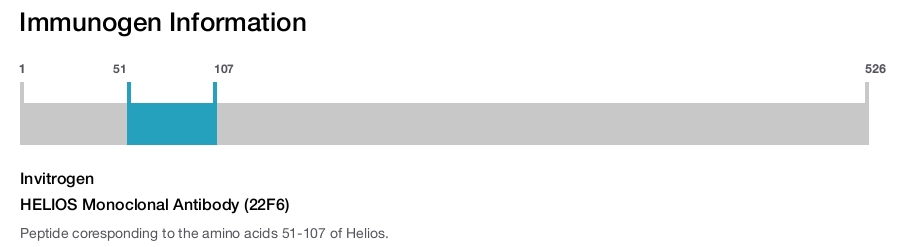 HELIOS Monoclonal Antibody (22F6)