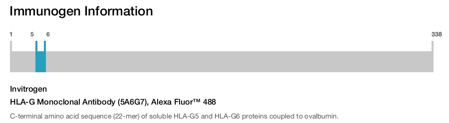 HLA-G Monoclonal Antibody (5A6G7), Alexa Fluor™ 488