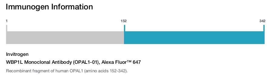 WBP1L Monoclonal Antibody (OPAL1-01), Alexa Fluor™ 647