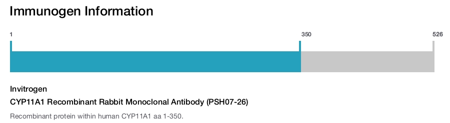 CYP11A1 Recombinant Rabbit Monoclonal Antibody (PSH07-26)