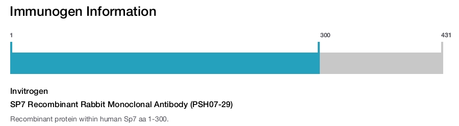 SP7 Recombinant Rabbit Monoclonal Antibody (PSH07-29)