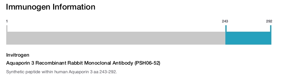 Aquaporin 3 Recombinant Rabbit Monoclonal Antibody (PSH06-52)
